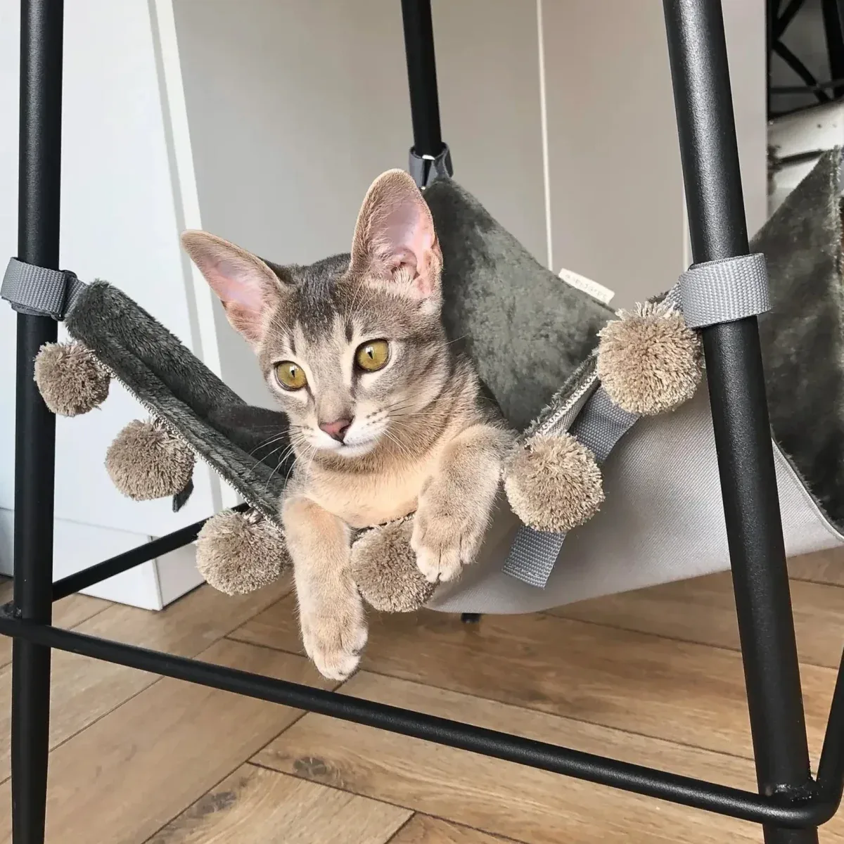 Hengekøye katt – katteseng til stol eller bord store pom poms