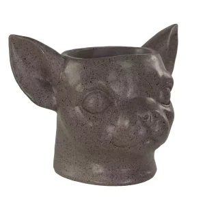 HH Potte, Chihuahua hode