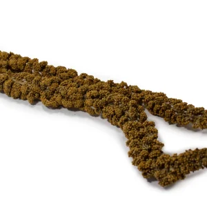 Hirsekolber Franske 1kg løsvekt