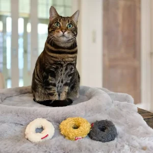 Hoopo Minidonuts(4)