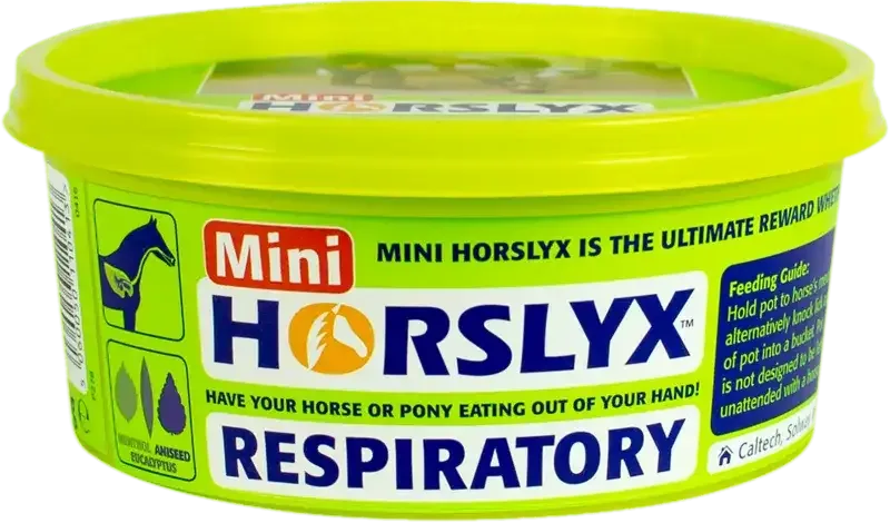 Horslyx respiratory mini 650g