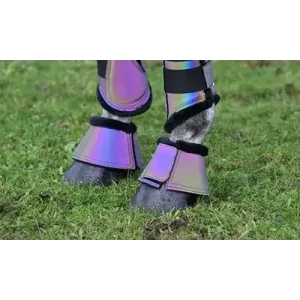 Hovkopp refleks rainbow