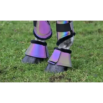 Hovkopp refleks rainbow