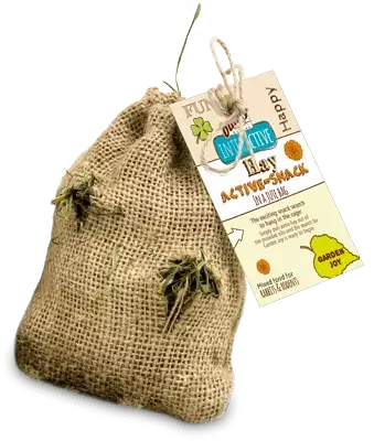 Høy ACTIVE-SNACK FAVOURITE VEGGIES 30 g, Bunny (5) (Utgått)