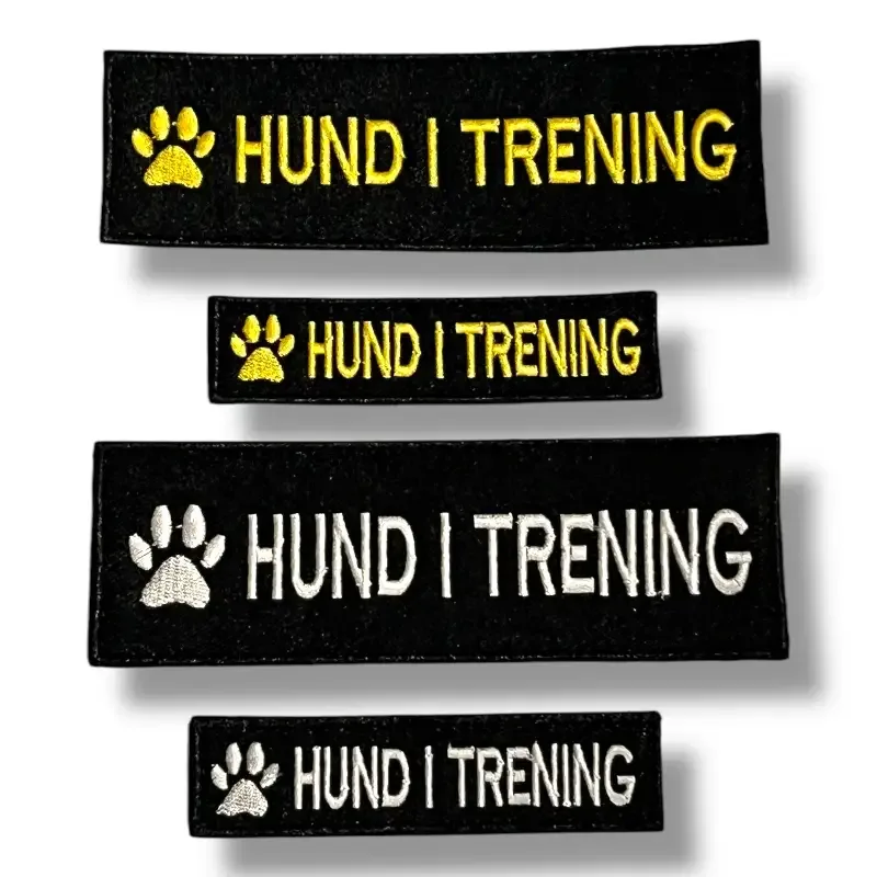 Hund i trening – Borrelåsfeste