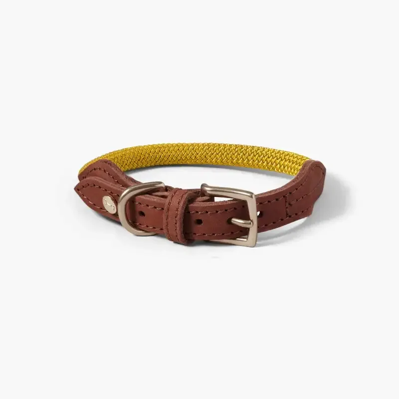 Hundehalsbånd Torekov Sunflower Yellow – Denjo Dogs