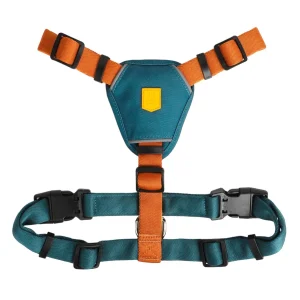 Hundesele Color Block Terracotta