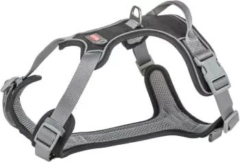 Hundesele Premium Active S/M Sort – Polstret og ergonomisk sele til hund