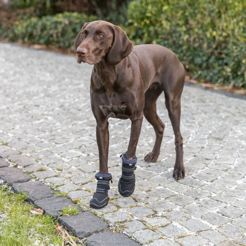 Hundesokk Walker Active Long Protective - Image 2