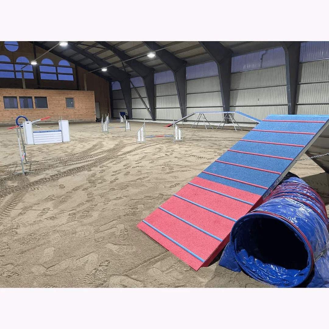 Hundesport hall