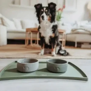 Hunter Skålunderlag Silikon