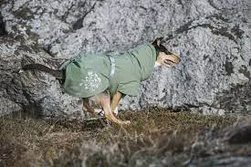 Hurtta Dekken Extrem Eco Hedge 65Cm - Image 2