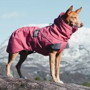 Hurtta Expedition Parka 20, Beetroot