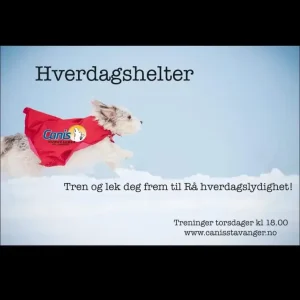 Hverdagshelter – Klippekort