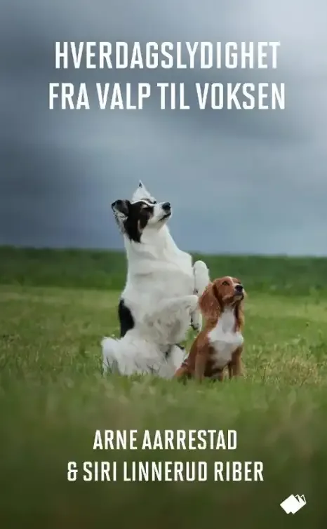 Hverdagslydighet fra valp til voksen