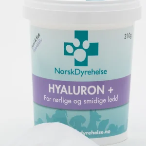 Hyaluron 310g