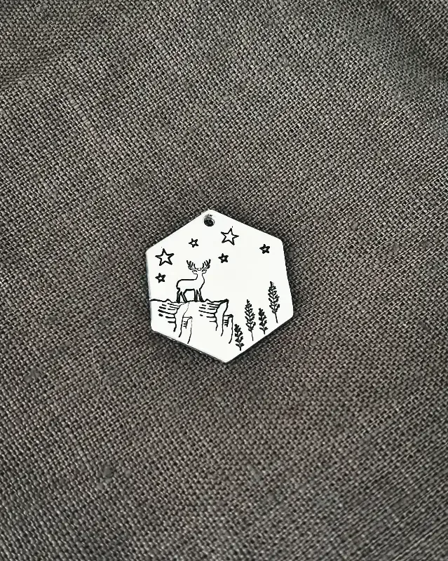 Id-brikke hexagon – utsikten
