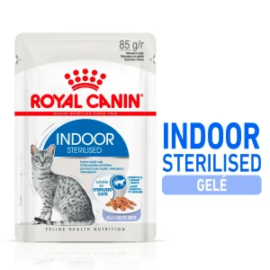 Indoor Sterilised Jelly