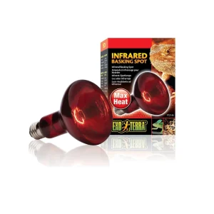 Infrared Basking Spot 100W R25 E27 Exoterra ‘Röd’