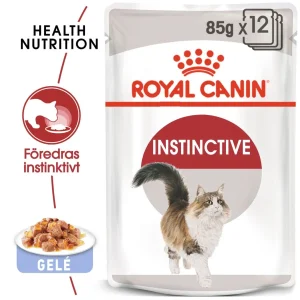 Instinctive Jelly Adult V氓tf么r til katt