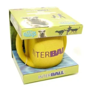 Interball