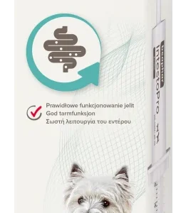 IntestoPro Pasta Hund/Katt <15kg 20ml