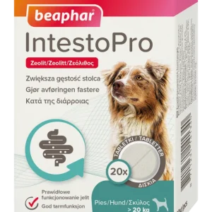 IntestoProtabl Hund >20kg