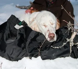 Jægerens hvilepose for hund