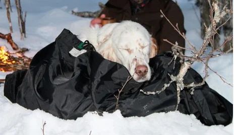 Jægerens hvilepose for hund