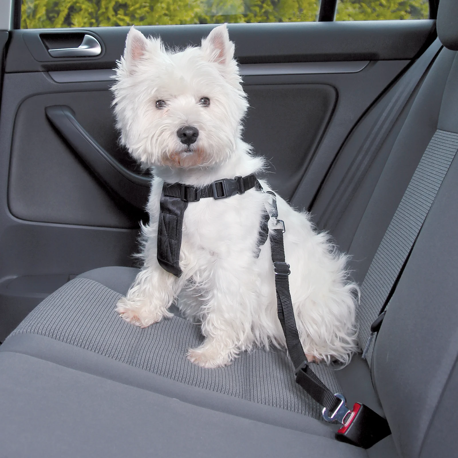 Jolly Paw Bilsele med sikkerhessbelte - Image 2