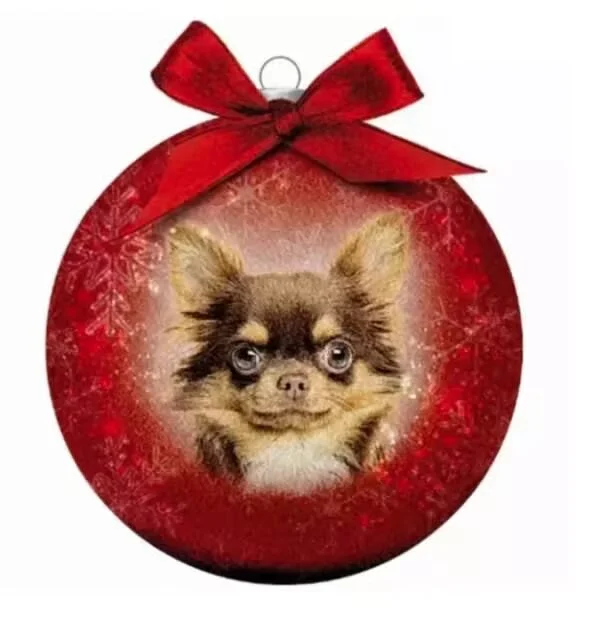 Julekule Chichuahua - Image 2