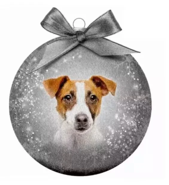 Julekule Jack russell - Image 2