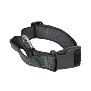 Julius-K9 C&G Halsbånd med Håndtak 38-53 cm- 40 mm