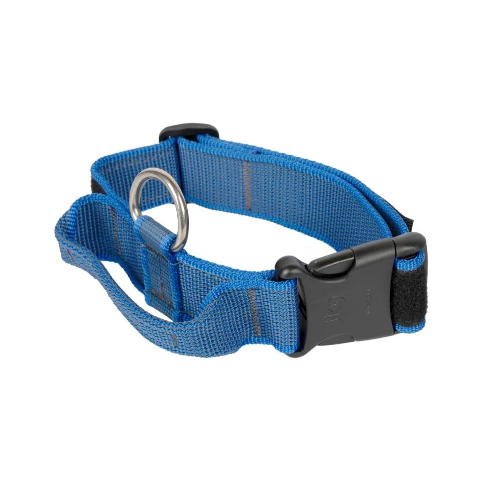 Julius-K9 C&G Halsbånd med Håndtak 38-53 cm- 40 mm - Image 2
