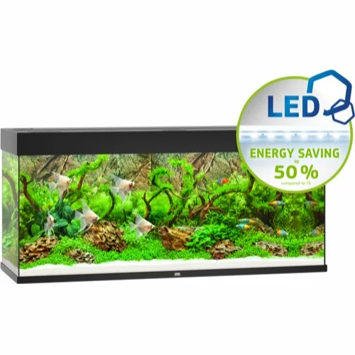 Juwel Akvarium Led Rio 240 Svart 121X41X55Cm 240L