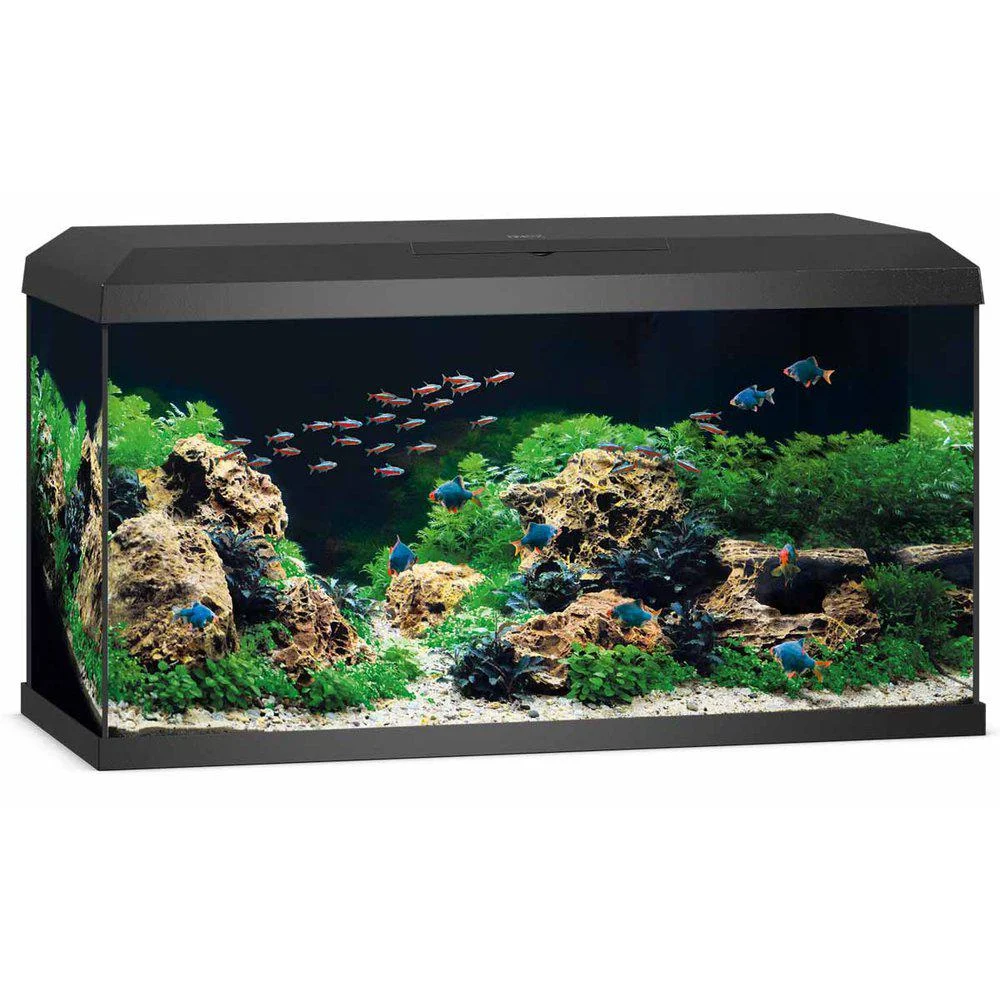 Juwel Akvarium Primo 110ltr 2.0 81x36x43,5 cm - Image 2