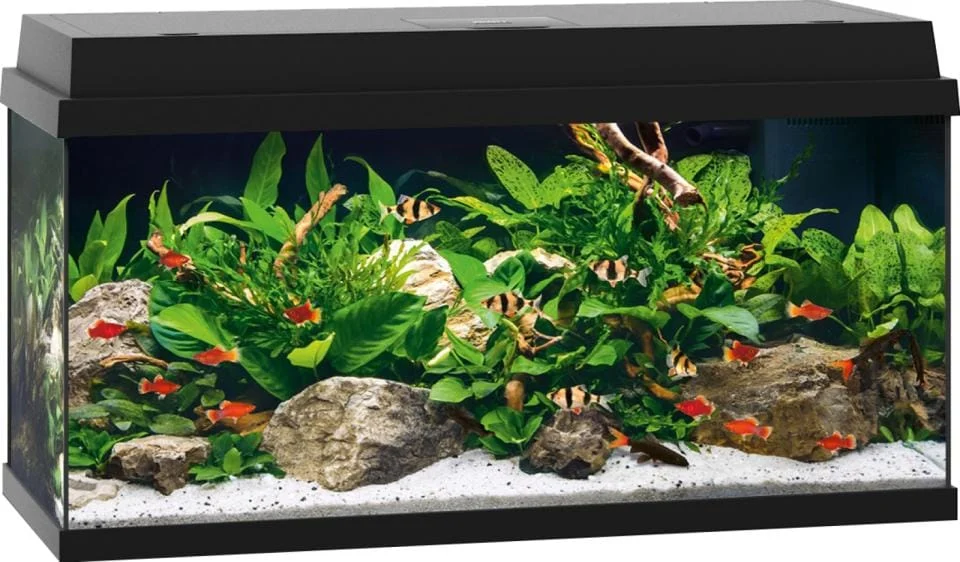Juwel Primo akvarie sort 110L