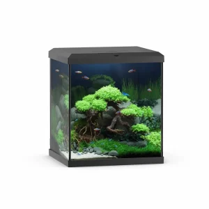 Juwel Vio Cube akvarium 54L – 41x36x47cm