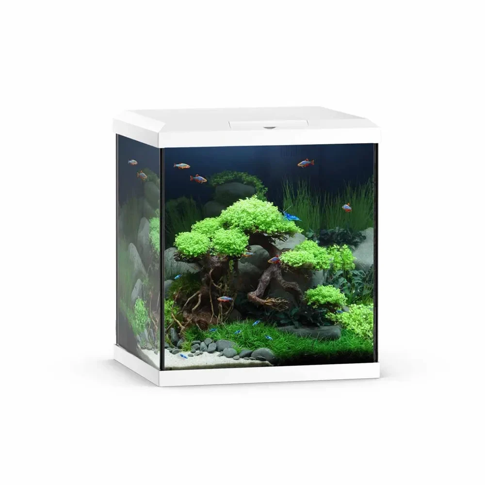 Juwel Vio Cube akvarium 54L – 41x36x47cm - Image 2