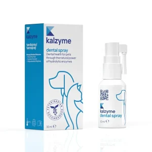 Kalzyme Dental Spray 30ml