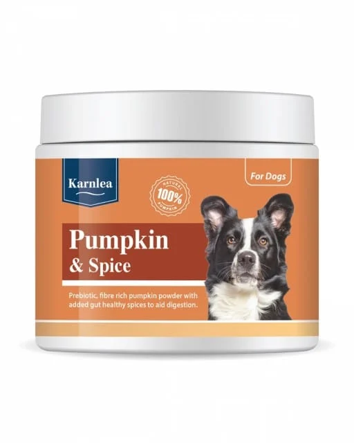 Karnlea Pumpkin & Spice 200g