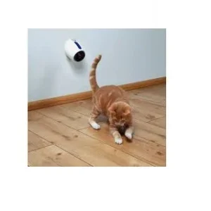 KATTELEKE Bevegende laser pointer
