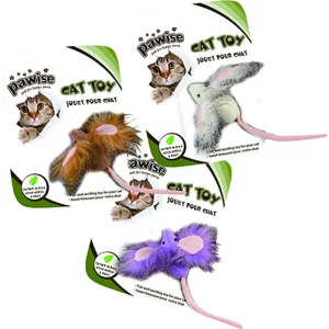 Katteleke Dumbomus