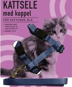 Kattesele Med Koppel, kattunge Blå