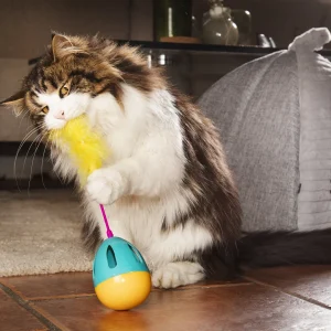 Kattleke Aktivering Egg Flerfarget