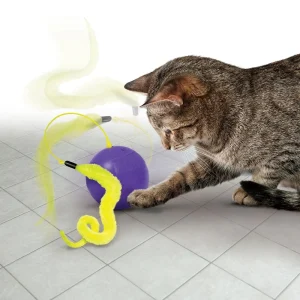 Kattleke Purrsuit Whirlwind Bl氓