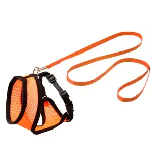 Kattsele Nät Med Koppel Kattunge S Orange/Svart 10Mmx108Cm