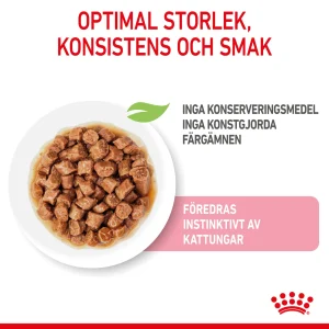 Kitten Gravy V氓tf么r for katt 12x85g