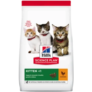 Kitten Healthy Development Chicken - Dry Cat Food