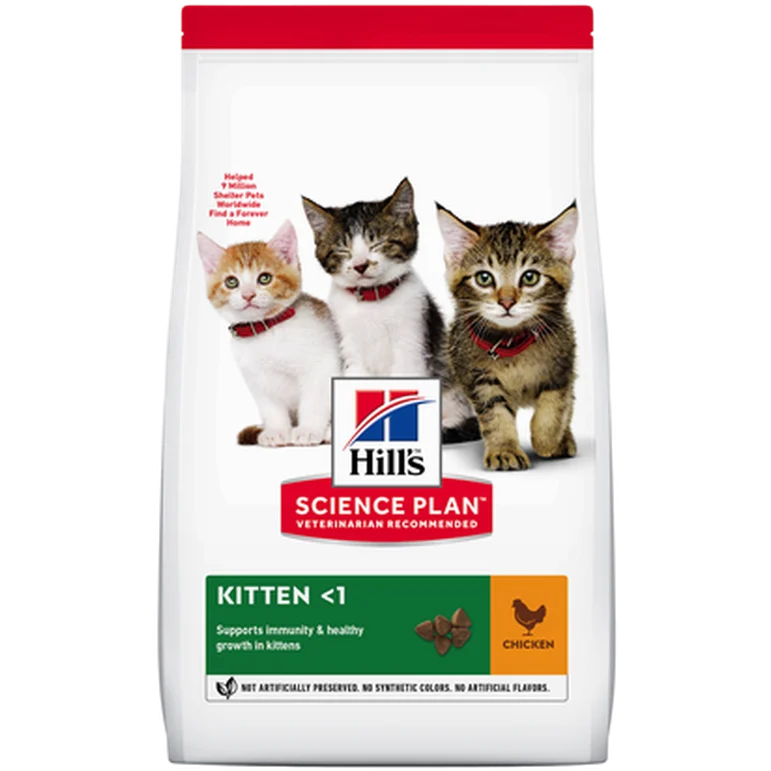 Kitten Healthy Development Chicken - Dry Cat Food